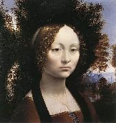 Portrait of Ginevra de' Benci  Leonardo  Da Vinci